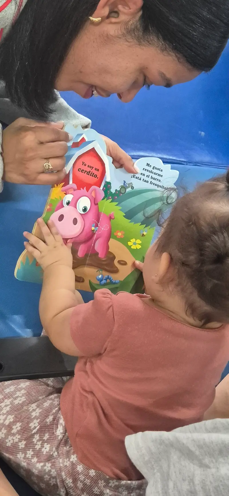 carrusel diplomados abk rd 1