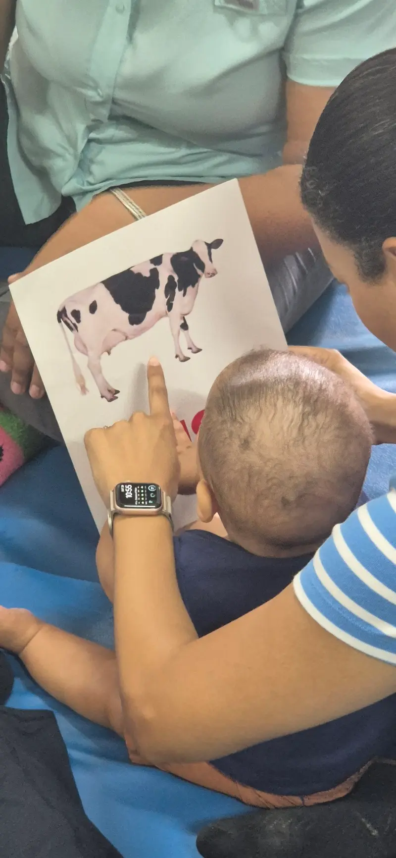 carrusel diplomados abk rd 2