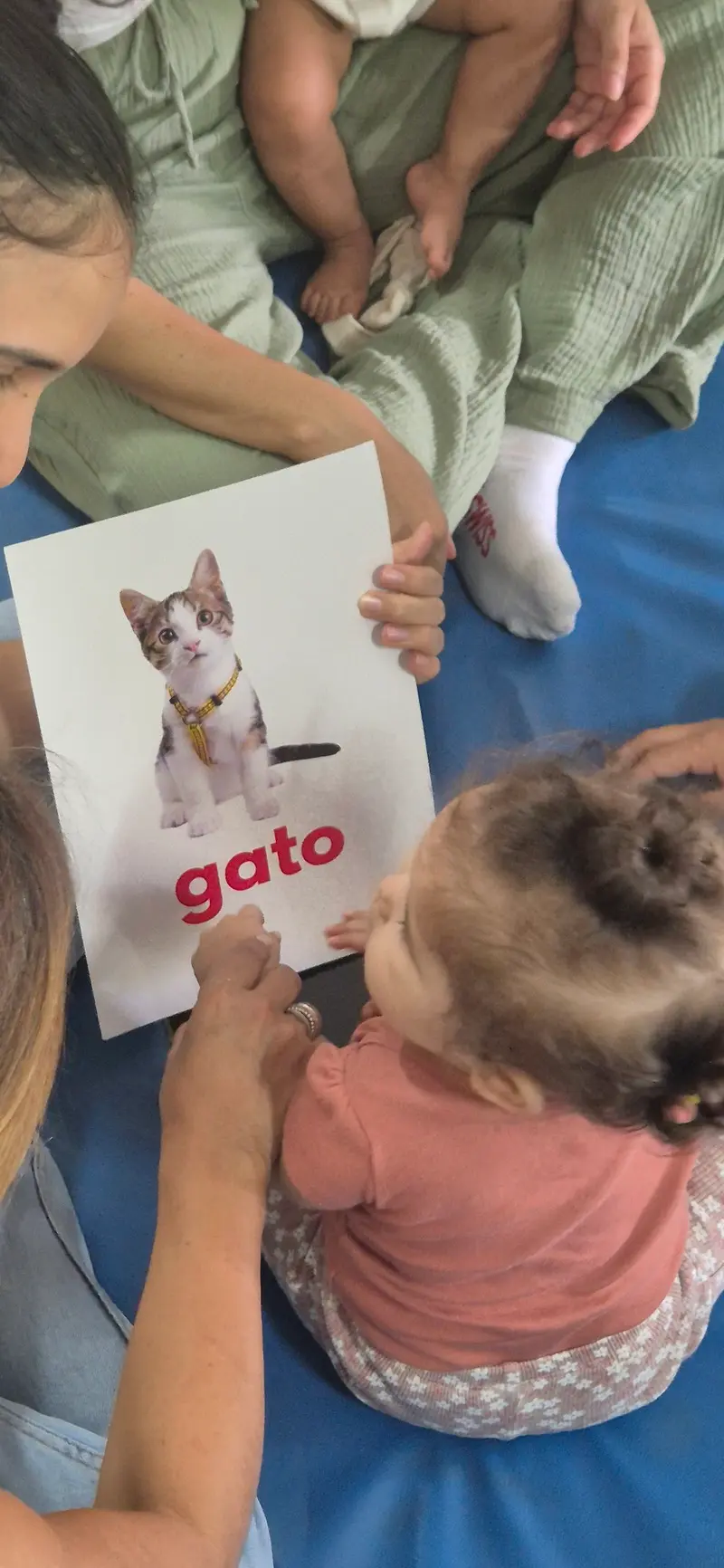 carrusel diplomados abk rd 3